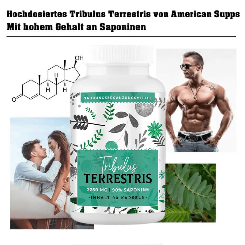 American Supps Tribulus Terrestris - 90 Kapseln - trainings-booster.de