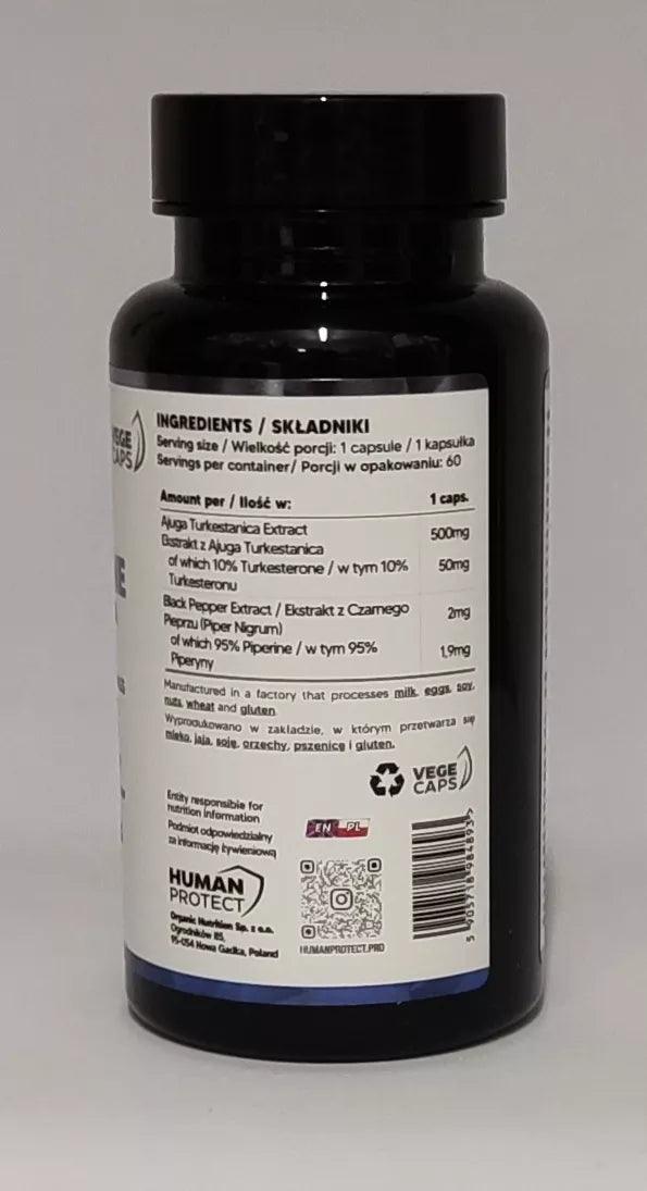 HP Turkesterone 500mg - 10% - 60 Kapseln - trainings-booster.de