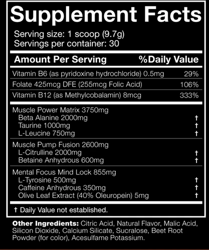 The Shadow Pre Workout Booster 270g