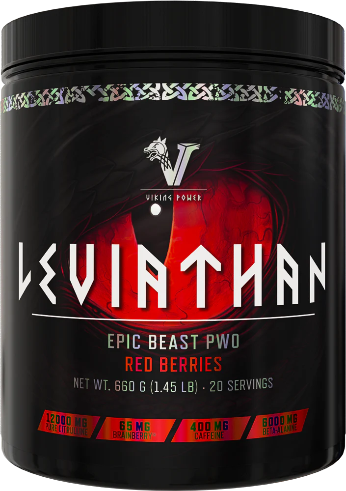 Viking Power Leviathan Hardcore PWO - 660g - trainings-booster.de