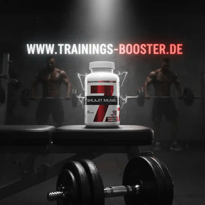 Shilajit Mumio Nahrungsergänzungsmittel für Sportler mit 120 Kapseln im Fitnessstudio