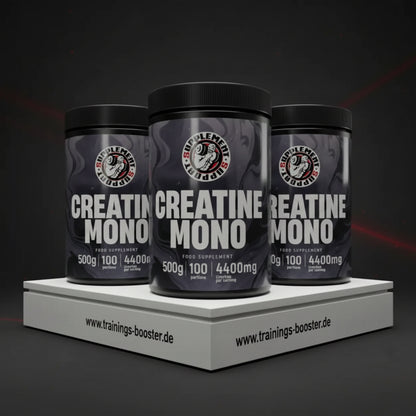 Supplement Support Creatine Monohydrate, 3x500g - trainings-booster.de