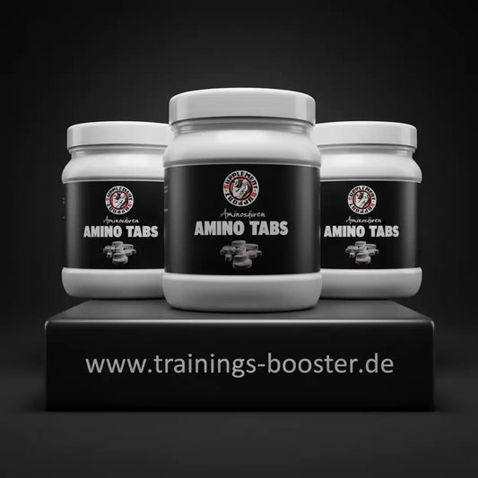 Supplement Support Amino Tabletten 3x325 Stück