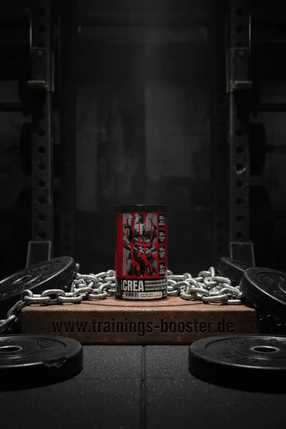 Crea Booster Dose vor Gewichten & Kette im Fitnessstudio – Trainingsbooster.de