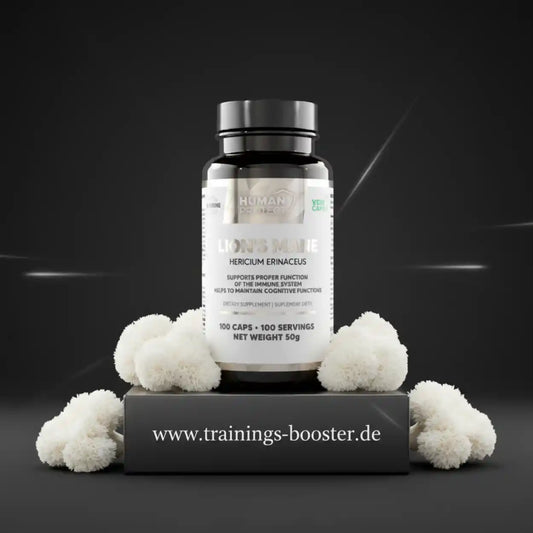 Human Protect Lion's Mane Nahrungsergänzungsmittel mit Hericium Erinaceus Kapseln und Pilzen