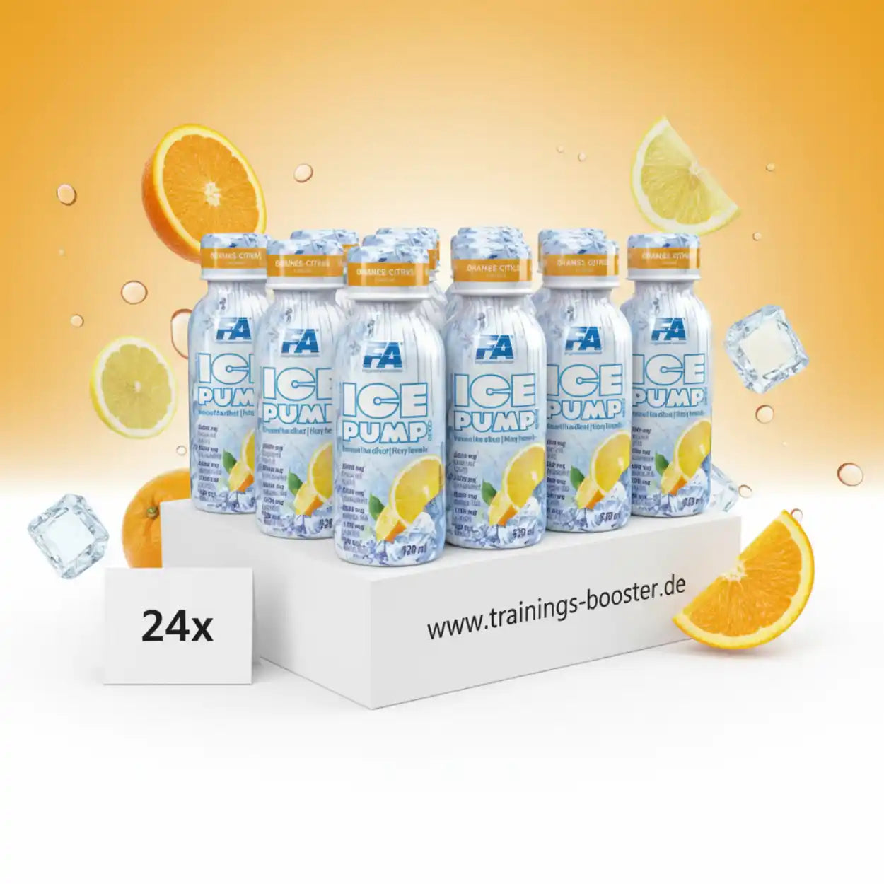 ICE PUMP Shot 24x120ml - trainings-booster.de