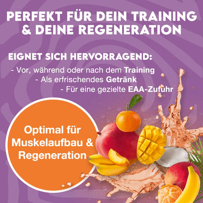 Inlead EAA 500g - trainings-booster.de