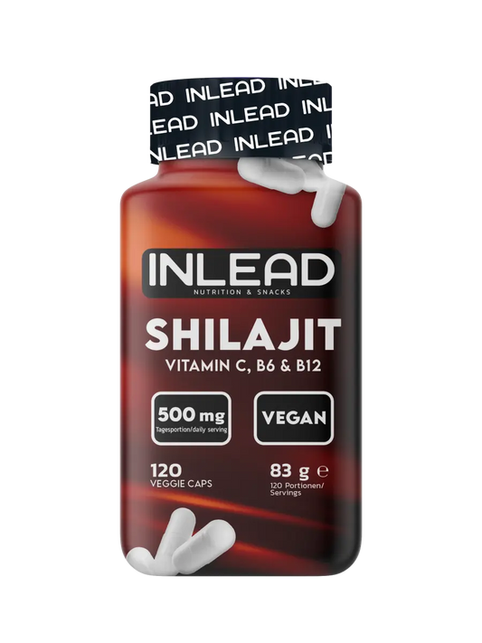 Inlead Shilajit 120 Caps - trainings-booster.de