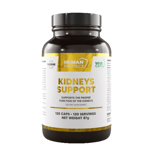 Kidneys Support 120 Kaps. - trainings-booster.de