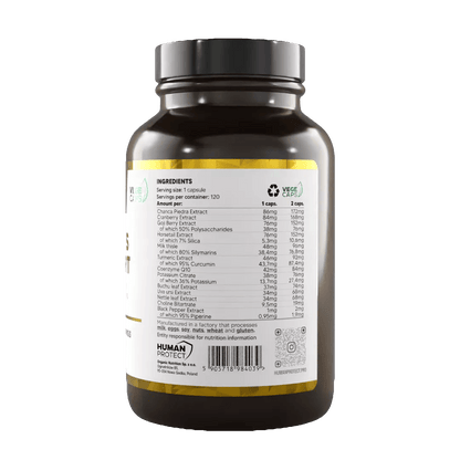 Kidneys Support 120 Kaps. - trainings-booster.de