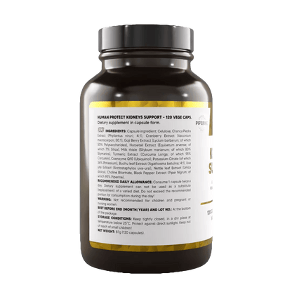 Kidneys Support 120 Kaps. - trainings-booster.de