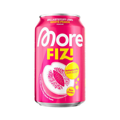 More FIZI 330ml - trainings-booster.de