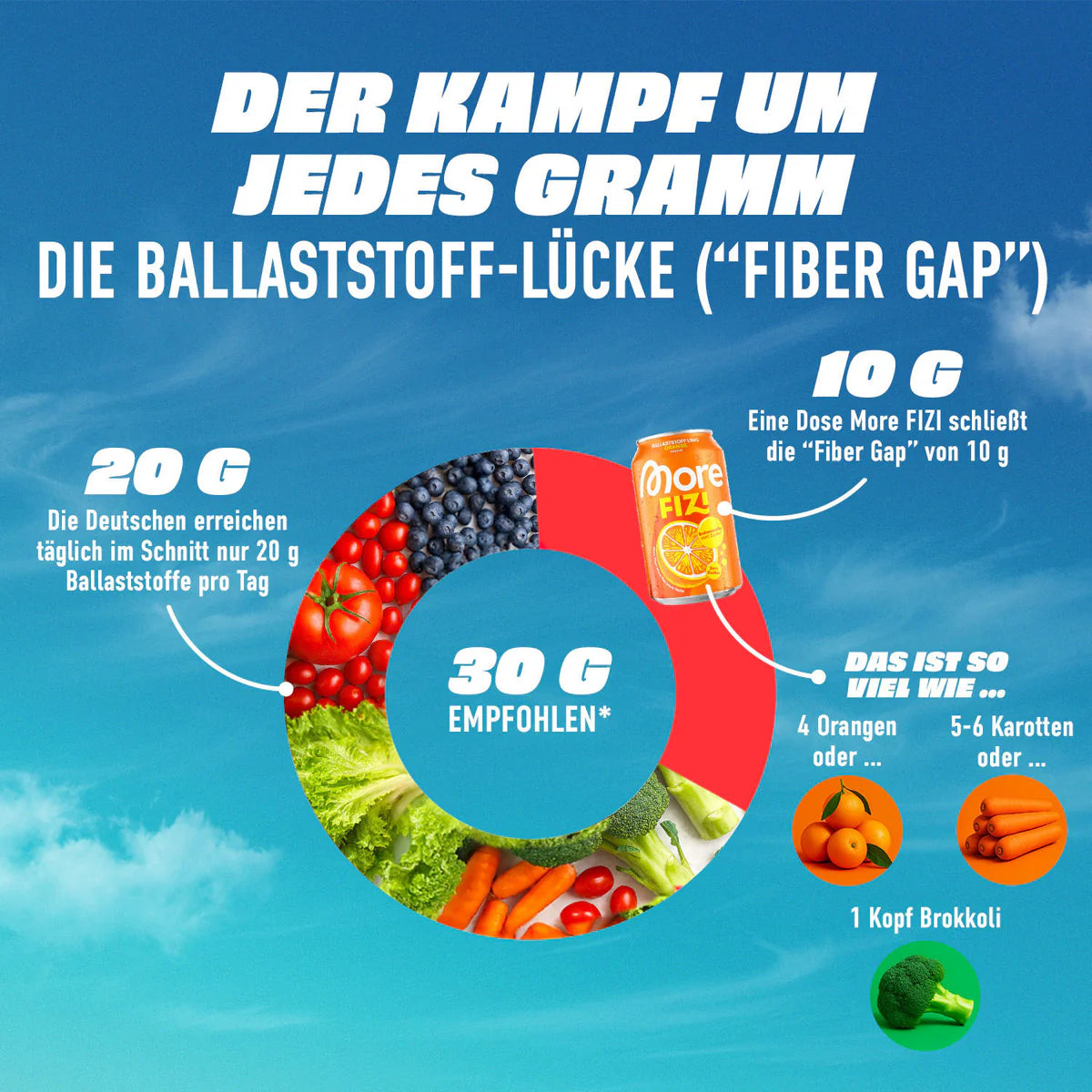 More FIZI 330ml - trainings-booster.de