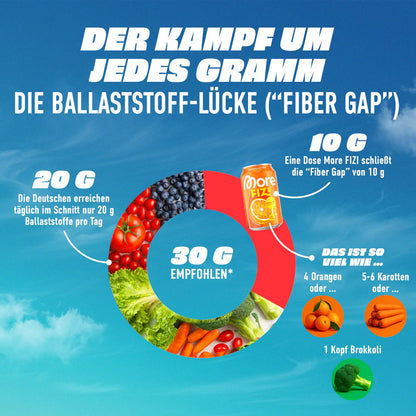 More FIZI 330ml - trainings-booster.de