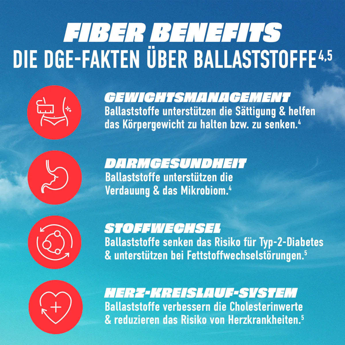 More FIZI 330ml - trainings-booster.de