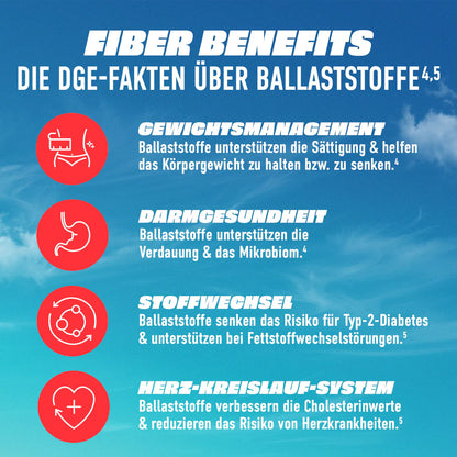 More FIZI 330ml - trainings-booster.de