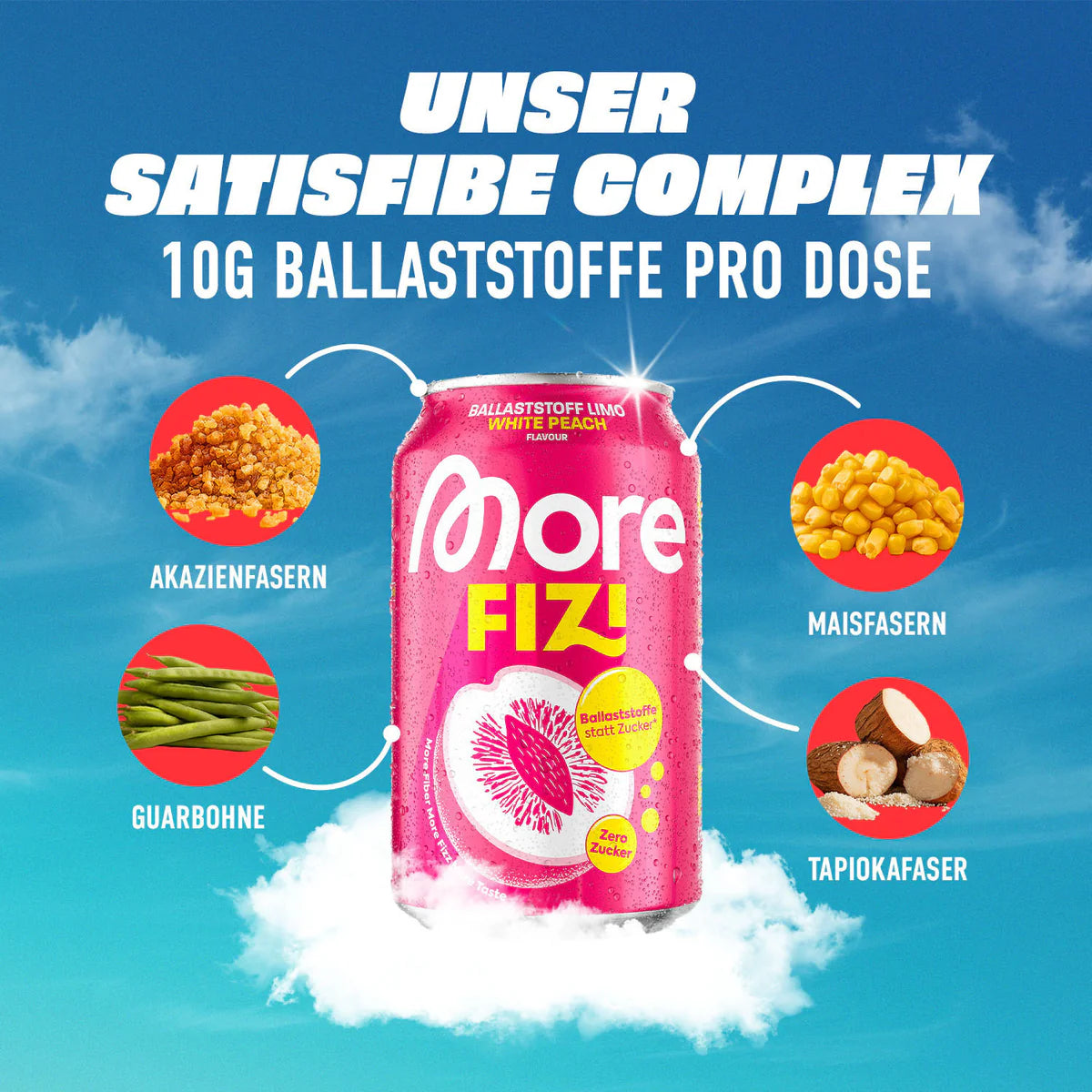 More FIZI 330ml - trainings-booster.de