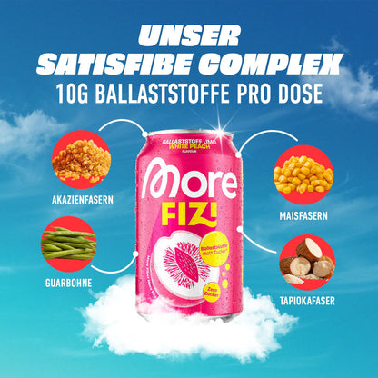 More FIZI 330ml - trainings-booster.de