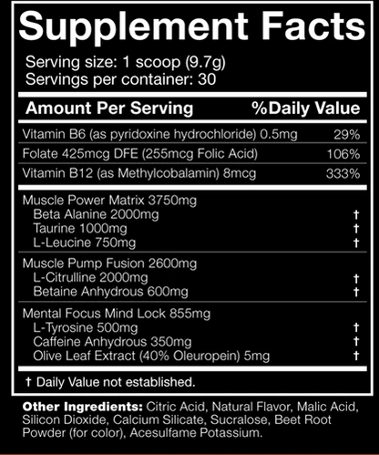 The Shadow Pre Workout Booster 270g - trainings-booster.de