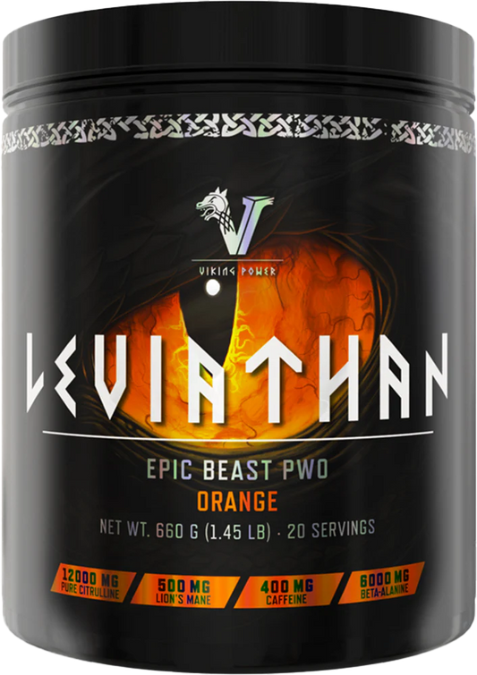 Viking Power Leviathan Hardcore PWO - 660g - trainings-booster.de